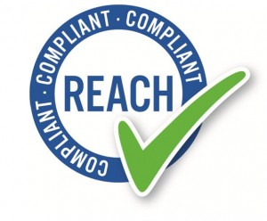 REACH-LOGO.jpg